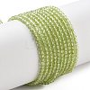 Natural Peridot Beads Strands G-B107-A06-01A-1