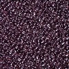 Glass Seed Beads SEED-A006-2mm-116-2