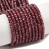 Natural Garnet Beads Strands G-K376-B06-01-1