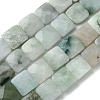 Natural Myanmar Jadeite Beads Strands G-A092-C01-03-1
