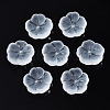 Transparent Frosted Glass Beads GLAA-Q089-003-B001-2
