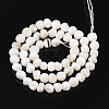 Freshwater Shell Beads Strands SHEL-T011-02A-2