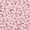 FGB Glass Seed Beads SEED-Q040-08A-03-3