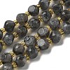 Natural Larvikite Beads Strands G-K387-A02-01-2