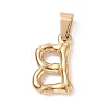 304 Stainless Steel Pendants X-STAS-F235-01G-B-3