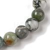 8mm Round Natural Tree Agate Braided Bead Bracelets BJEW-C067-01B-01-3