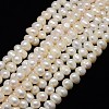Natural Cultured Freshwater Pearl Beads Strands PEAR-L001-04-01A-1