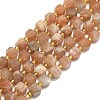 Natural Sunstone Beads Strands G-I376-D65-01-1