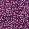 TOHO 6/0 Round Beads SEED-TR06-0625F-2