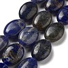 Natural Sodalite Beads Strands G-P528-M14-01-1