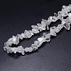 Natural Quartz Crystal Beads Strands G-O049-C-61-3