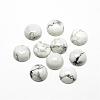 Natural Howlite Cabochons G-R416-14mm-29-1