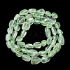 Natural Prehnite Beads Strands G-G018-64-5