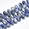 Natural Blue Spot Jasper Beads Strands G-S357-C01-06-1