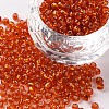 (Repacking Service Available) 8/0  Glass Seed Beads SEED-C014-3mm-29B-1