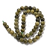 Natural Green Tourmaline Beads Strands G-B099-C05-04-3