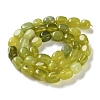 Natural Lemon Jade Beads Strands G-P497-01D-04-3