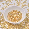 MIYUKI TILA Beads X-SEED-J020-TL0251-2