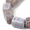 Natural Weathered Agate Beads Strands G-Q169-B04-01-4