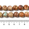 Dyed Natural Regalite/Imperial Jasper/Sea Sediment Jasper Beads Strands G-B124-C03-11-3