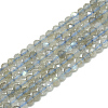 Natural Labradorite Beads Strands G-S300-23-3mm-1