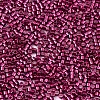 FGB 11/0 Grade A Glass Seed Beads SEED-S030-1211-2