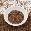 MIYUKI Delica Beads SEED-X0054-DB2524-2