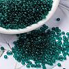 MIYUKI Round Rocailles Beads X-SEED-G008-RR2405-1