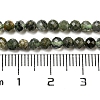 Natural Prehnite Beads Strands G-A097-A06-03-5