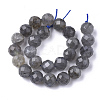 Natural Labradorite Beads Strands G-S345-6mm-005-2