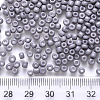 6/0 Baking Paint Glass Round Seed Beads SEED-S036-01C-09-3