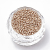 Glass Seed Beads E0690014-2