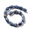 Natural Blue Spot Jasper Beads Strands G-P520-C05-01-3
