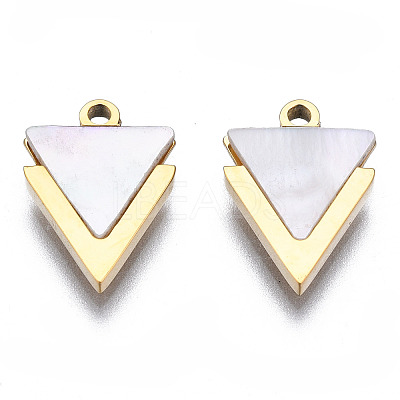 316 Surgical Stainless Steel Charms LS-STAS-N097-043-1