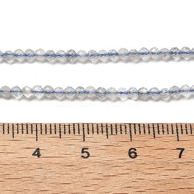 Natural Labradorite Beads Strands G-RM241221-A10-1