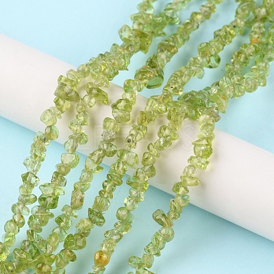 Natural Peridot Beads Strands G-G0003-B27-1