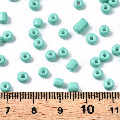 6/0 Glass Seed Beads SEED-S058-A-F439-1