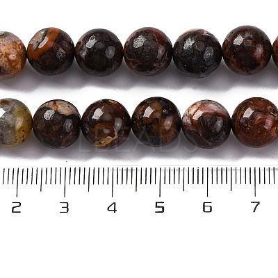 Natural Mexico Crazy Agate Beads Strands G-L615-A01-03-1