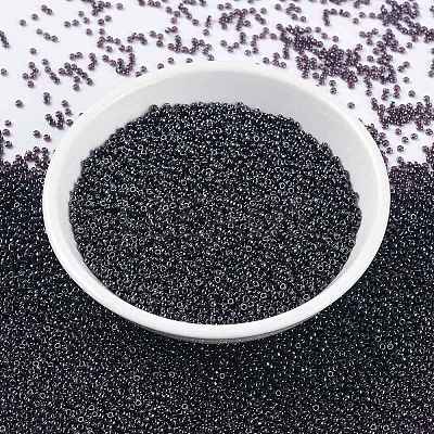 MIYUKI Round Rocailles Beads X-SEED-G009-RR0171-1