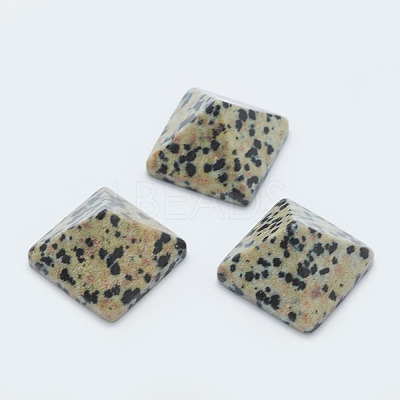 Natural Dalmatian Jasper Cabochons G-G759-Y07-1