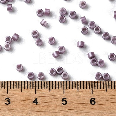 Baking Paint Glass Seed Beads X-SEED-S042-15A-14-1