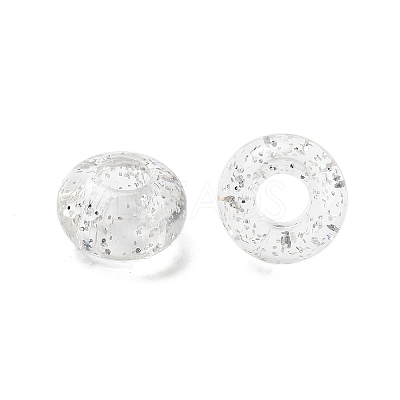 Transparent Acrylic European Beads TACR-P009-A01-1