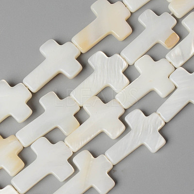 Natural Freshwater Shell Beads Strands SHEL-N026-74-1