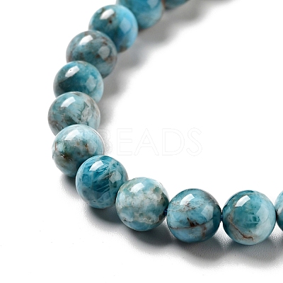 Natural Apatite Beads Strands G-G858-01A-1