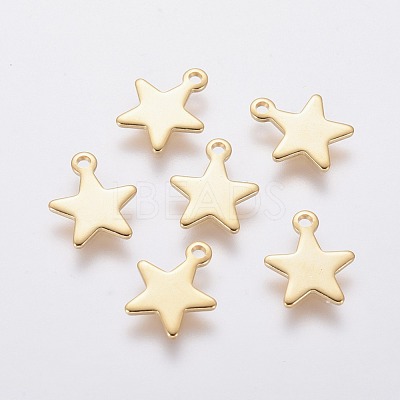 304 Stainless Steel Charms X-STAS-L234-069G-1