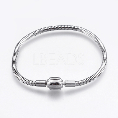 Tarnish Resistant 304 Stainless Steel European Style Chains Bracelet Making STAS-E428-12C-P-1