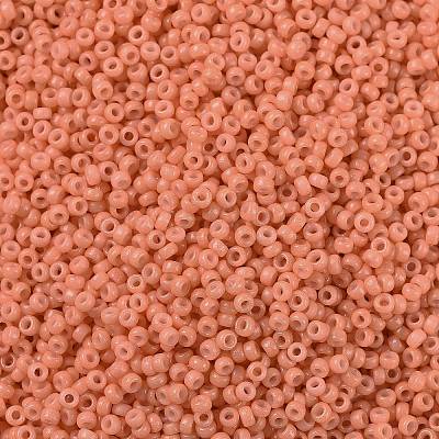 MIYUKI Round Rocailles Beads X-SEED-G009-RR4462-1