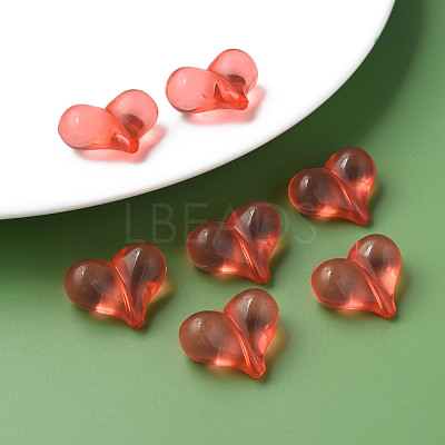 Transparent Acrylic Beads MACR-S373-70-B06-1
