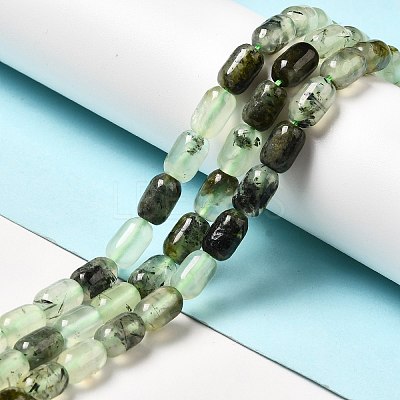 Natural Prehnite Beads Strands G-G980-24-1