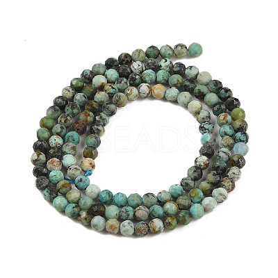 Natural African Turquoise(Jasper) Beads Strands X-G-P472-01-1